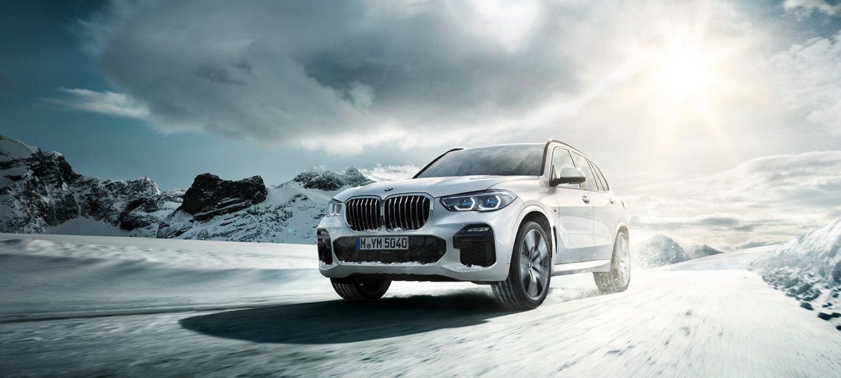 photo_in_container28338